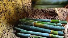 搭建防空洞式庇護所，實現野味自由(2)