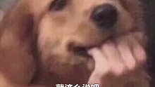 論部隊(duì)里查手機(jī)能有多嚴(yán)格