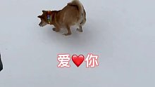 愛你呦嘿嘿哈
