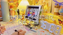 你要記?。∧悴皇窃诔砷L，而是在扎根！