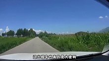 我也不想碰樹，可是真的剎不住#創(chuàng)作靈感 #道路千萬條安全第一條  第三集