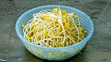 這些發(fā)了芽的食物，可以放心吃