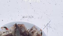 在外面養(yǎng)倆狐貍精~