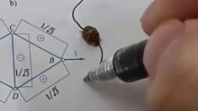 瓢虫跟着笔尖走，画到哪它跟到哪