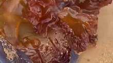 沉浸式切水母！也太解壓了吧