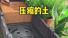 這個(gè)東西是我萬(wàn)萬(wàn)沒(méi)想到的