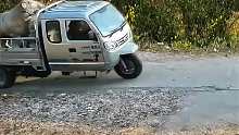 牛不小心從車上翻下來(lái)
