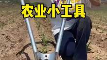 這種農(nóng)業(yè)小工具，可能你們都沒見過吧