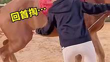 美女使絕招