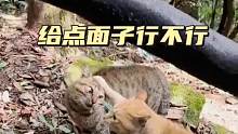多少錢一斤？