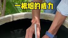 你知道一根煙的煙霧有多大嗎