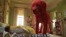 第2集 一个晚上的时间，出生不久的小狗狗变成了超级大红狗