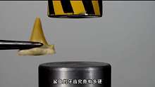 鯊魚(yú)的牙齒究竟有多硬？遇上液壓機(jī)誰(shuí)能取勝？