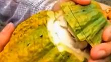 水果的創(chuàng)意吃法