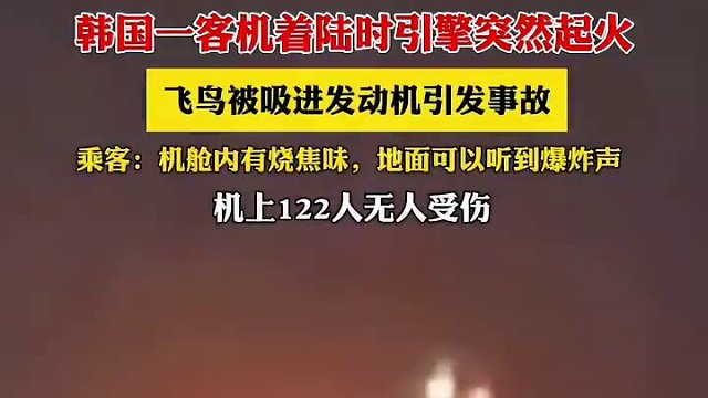 1月11日（报道时间），#韩国一波音客机从东京出发着陆时引擎突然起火，已确认是飞鸟被吸进发动机所致。