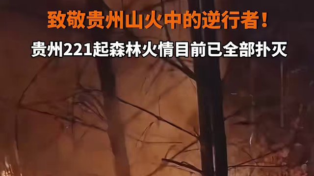 致敬贵州山火中的逆行者！ #贵州221起森林火情目前已全部扑灭 #贵州山火