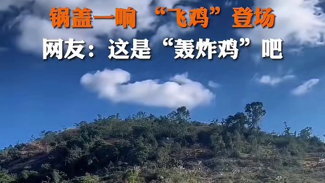 3月19日采访#福建 锅盖一响，“飞鸡登场”，网友:这是“轰炸鸡”吧。#养殖