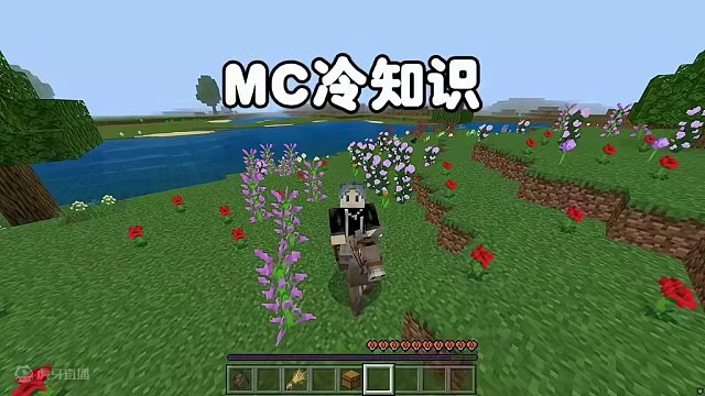 我的世界:MC冷知識(shí) #我的世界