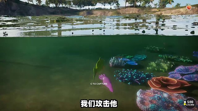 奇葩游戏：水母欺人太甚太猖狂！我能成为水中霸主吗？
