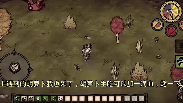 饑荒威爾遜第一天#饑荒