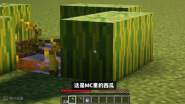 我的世界：末影人搬瓜，這才是頂級(jí)折磨！ #我的世界 #Minecraft #單機(jī)游戲