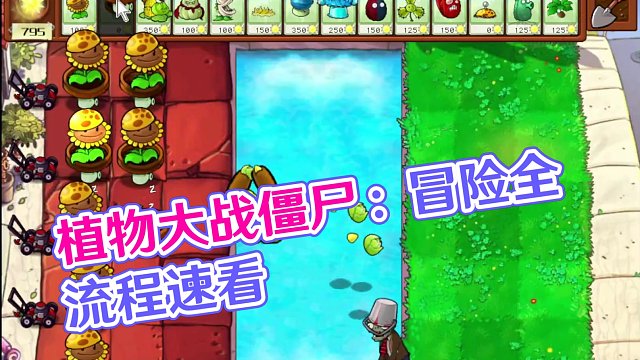 植物大戰(zhàn)僵尸：冒險(xiǎn)模式全流程15