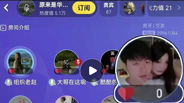 跳梁小丑組織老趙