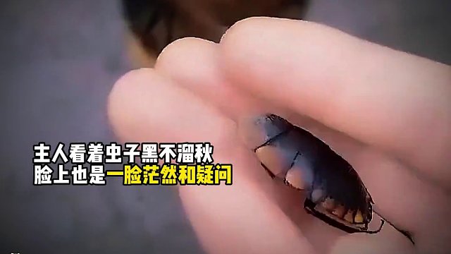 “先天中醫(yī)圣體的狗子”#狗 #萬萬沒想到