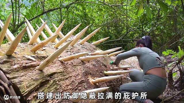 女人才搭建好庇護所一天，就碰到黑熊直接扒門，簡直太恐怖了#荒野建造 #野外生存 #原始技術(shù) #真實戶