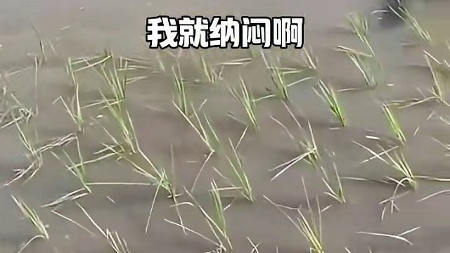 這個(gè)叫南水北調(diào)！