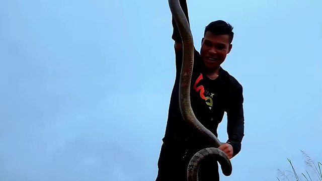 萬蛇之王！