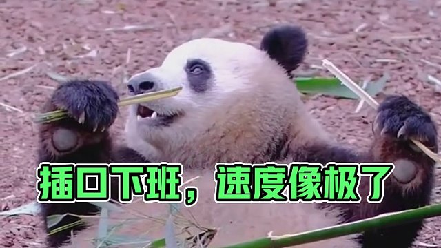 這速度像極了掐點(diǎn)下班的我