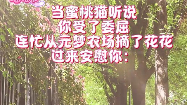 蜜桃貓：人，別難過了，我來看你啦~#元夢(mèng)之星 #元夢(mèng)之星超能學(xué)園賽季 #元夢(mèng)之星×蜜桃貓正版聯(lián)動(dòng) #