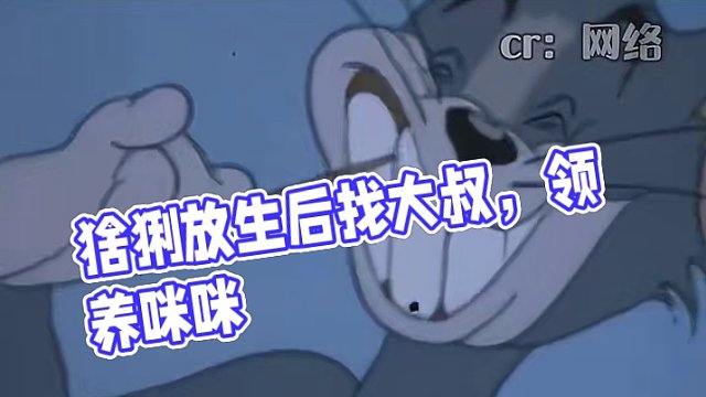猞猁：是我啊