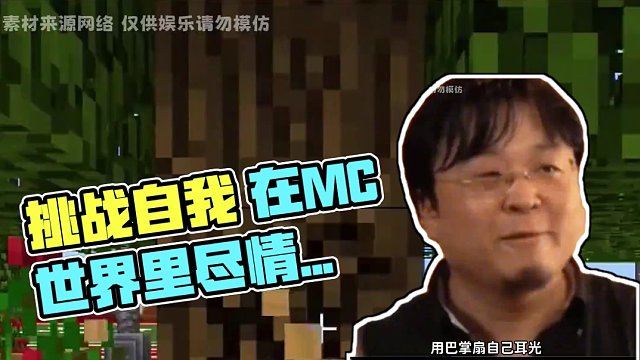 我不語 只是一味的毆打自己#游戲 #二次元 #mc #我的世界
