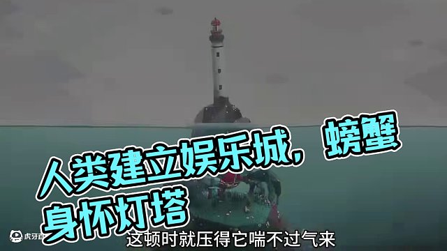 人類在螃蟹的背上蓋起了高樓大廈