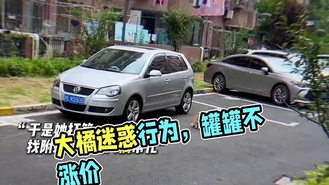 “大橘：下次還找我 2個罐罐不漲價！”#貓咪 #大橘為重 #貓咪的迷惑行為