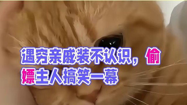 出門在外最怕遇到窮親戚