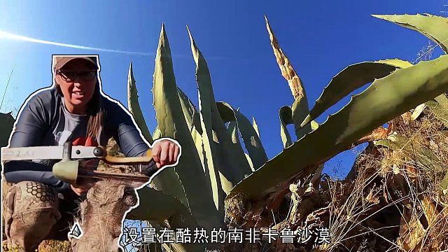 荒野獨居第十二季02：剩下的五位選手出場