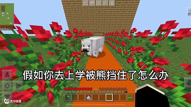 當看完“朵拉”視頻來玩我的世界會發(fā)生什么