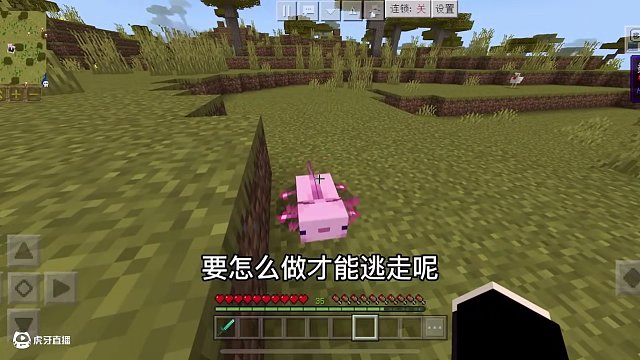 當“朵拉”的作者來玩我的世界