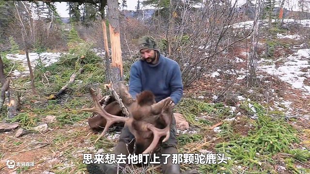 荒野獨(dú)居第六季喬丹煉制鹿油再造狼獾偷襲，沃尼亞喜提兩只白靴兔，巴里窮到吃草#荒野獨(dú)居 #荒野求生 #