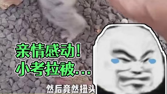親情的力量是無限的