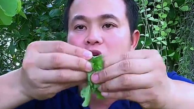 鮮辣醬汁?小苦瓜香米飯團(tuán) #我的鄉(xiāng)村生活 #泰國(guó)大叔#種草激勵(lì)計(jì)劃 #泰國(guó)美食#內(nèi)容啟發(fā)搜索