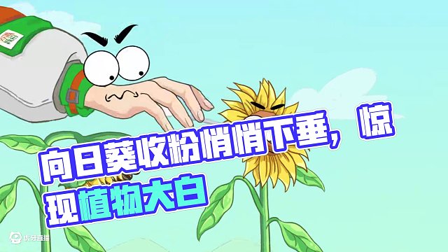 向日葵授粉后就不隨著太陽(yáng)轉(zhuǎn)了 #向日葵 #有趣的知識(shí)又增長(zhǎng)了 #植物科普 #萬(wàn)物皆可達(dá) #輕漫計(jì)劃