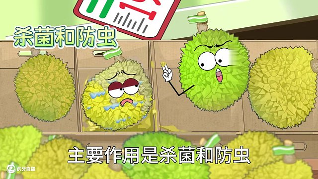榴蓮染色咋回事 #榴蓮 #辟謠 #健康科普 #食品安全 #有趣的知識(shí)又增長(zhǎng)了