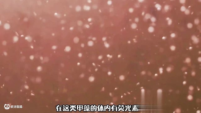 神秘的熒光海，大海的藍眼淚到底是怎么形成的？