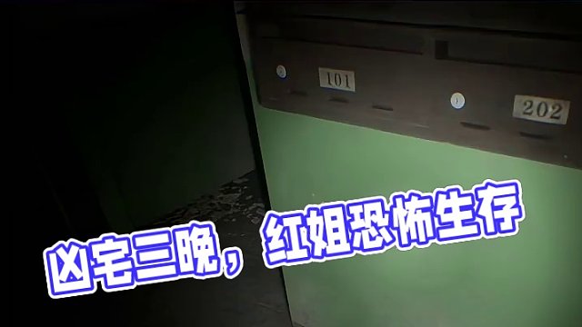 給你十萬塊錢，讓你去兇宅住三個晚上你愿意嗎？ #steam游戲 #恐怖游戲 #來都來了 #兇寓 #虎