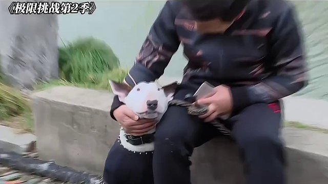 給司機(jī)都整不會(huì)了