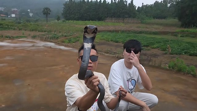 9.19 小小小酷哥-組織直播名場(chǎng)面